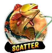 Scatter
